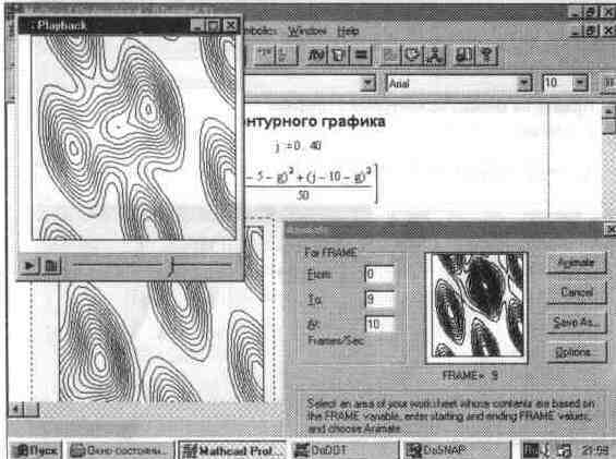 55.jpg
