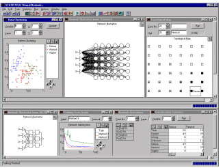 ������ �� ������ STATISTICA Neural Networks 